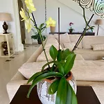 Fabulous Architect By The W/sea View!
