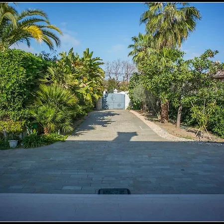 Fabulous Architect By The W/sea View! * Vallauris